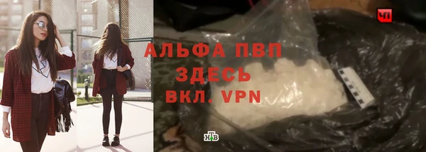 индика Богородицк