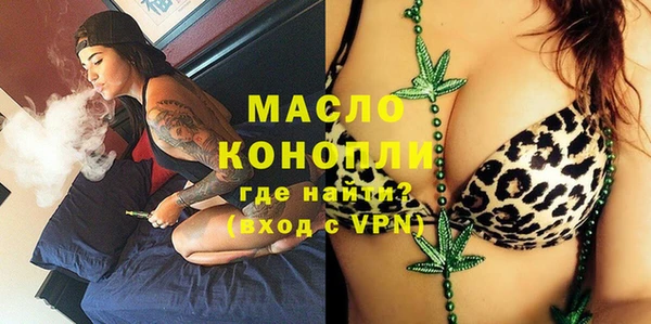 индика Богородицк