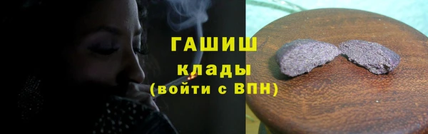 индика Богородицк