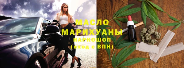 индика Богородицк
