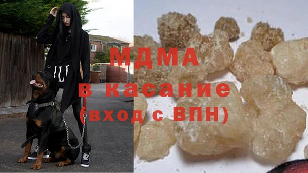индика Богородицк