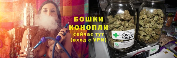 первитин Богданович