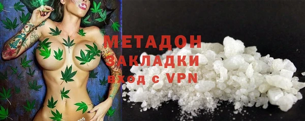 индика Богородицк