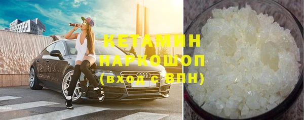 индика Богородицк