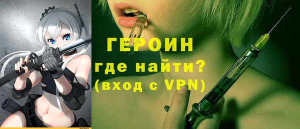 индика Богородицк