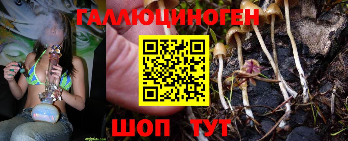 Галлюциногенные грибы Psilocybine cubensis  Вход с VPN  наркошоп  Сердобск 